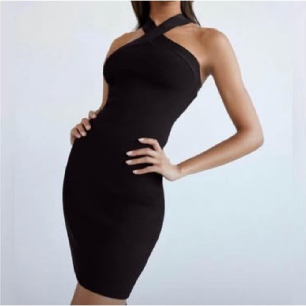 Aritzia Babaton dress